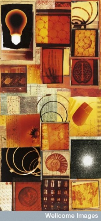 B0005917  Rowena Dugdale. 